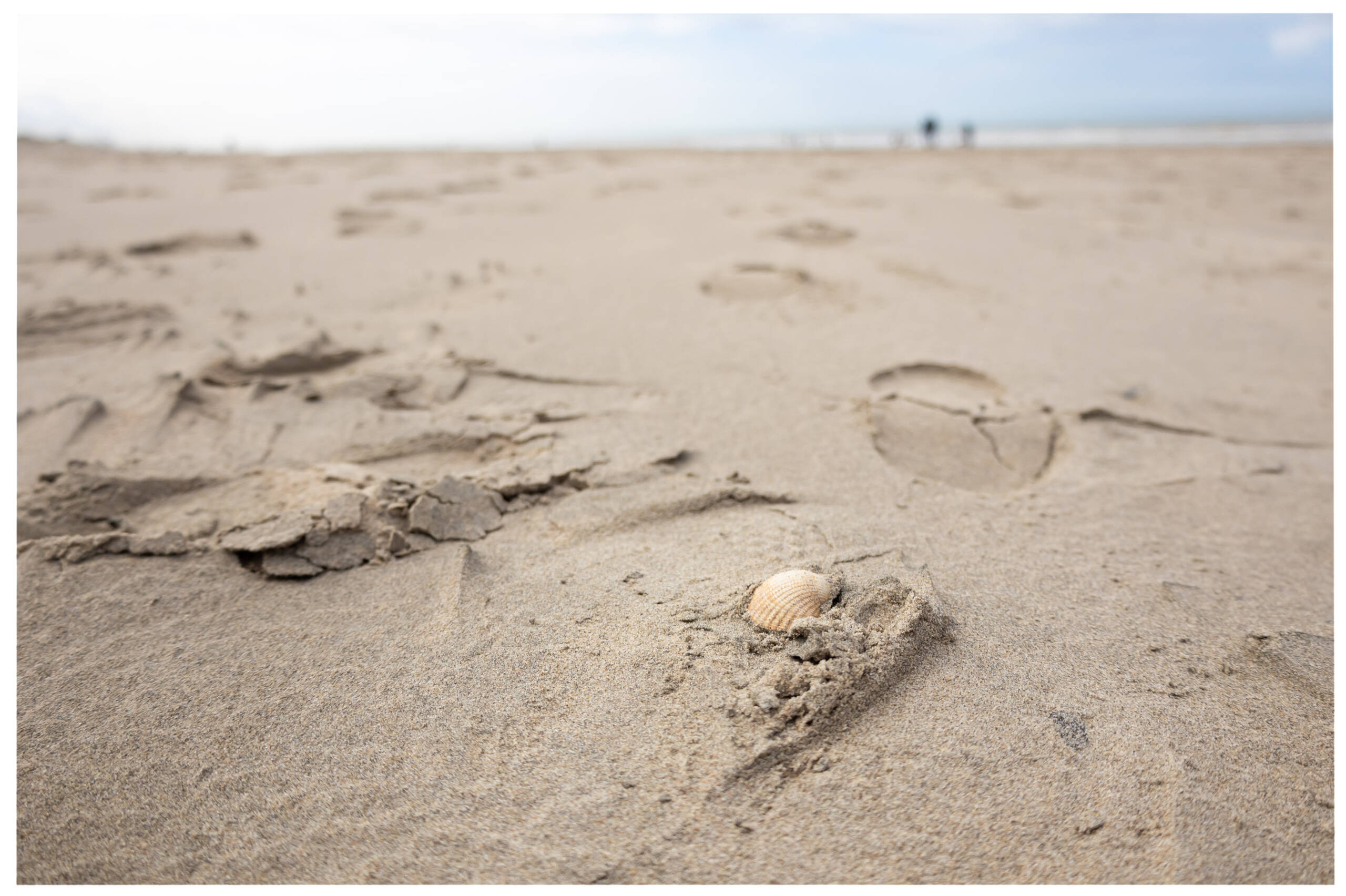 strandfotografie strandfotografie